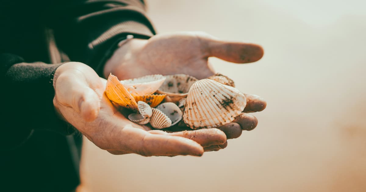 Hospice Care Remains Underutilized Despite Proven Benefits, Organization Advocates for Increased Awareness