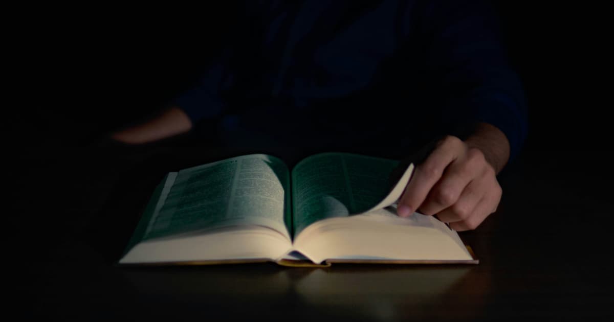 KAILASA Marks 49th Year with Global Expansion, Spiritual Initiatives, and Awards