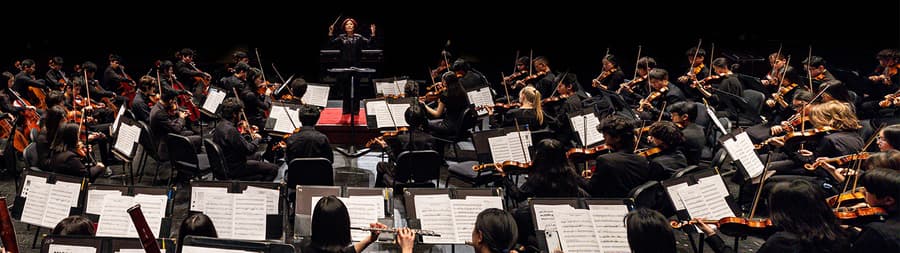 Wharton Arts Announces 'A Concert for Peace' Featuring Historic Violins of Hope