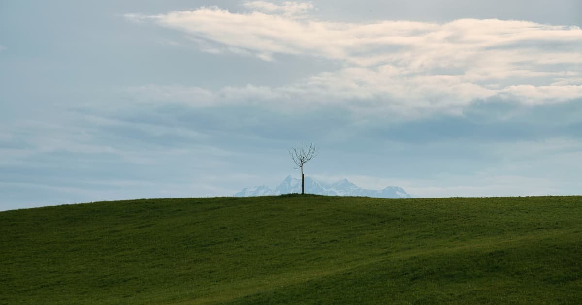 PowerBank Corporation Secures Municipal Approvals for Two Community Solar Projects in Skaneateles, New York