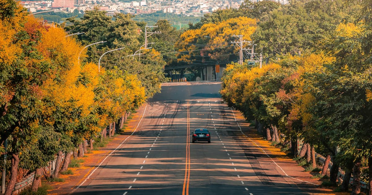 Sierra Leone Heritage Tour Creates Economic and Cultural Bridge for Diaspora